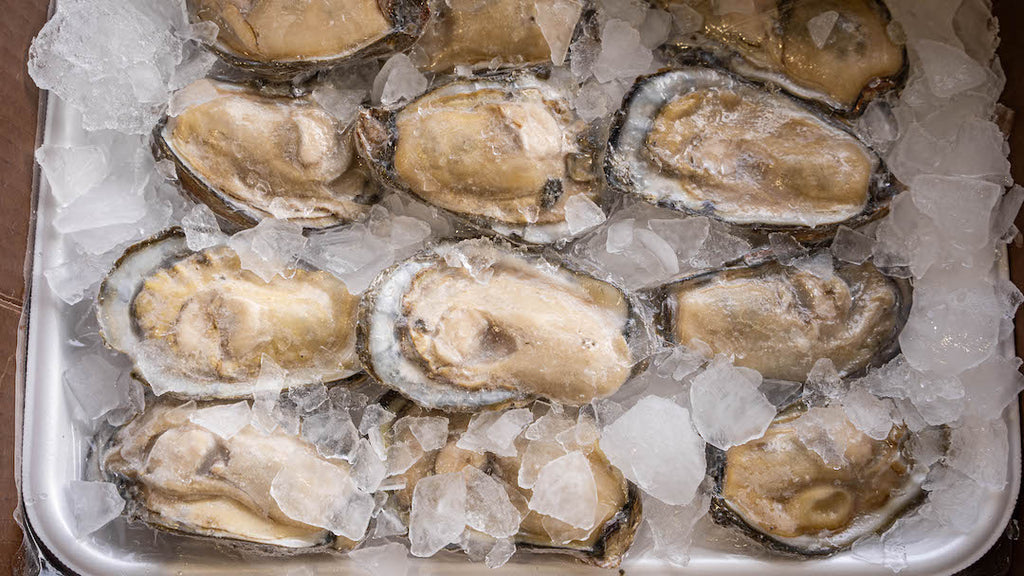 Pioneering Frozen Half-Shells: